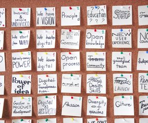 team productivity and organization